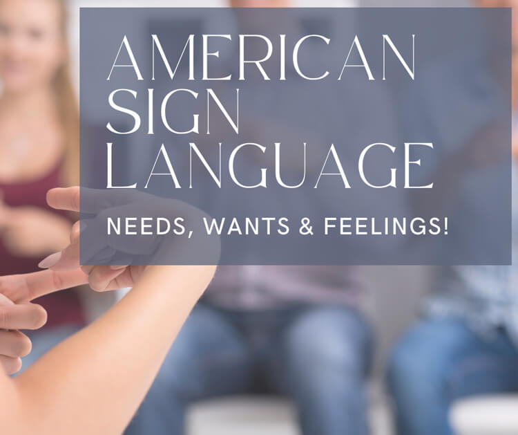 American Sign Language: Feelings & Emotions